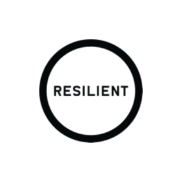Resilient Cities